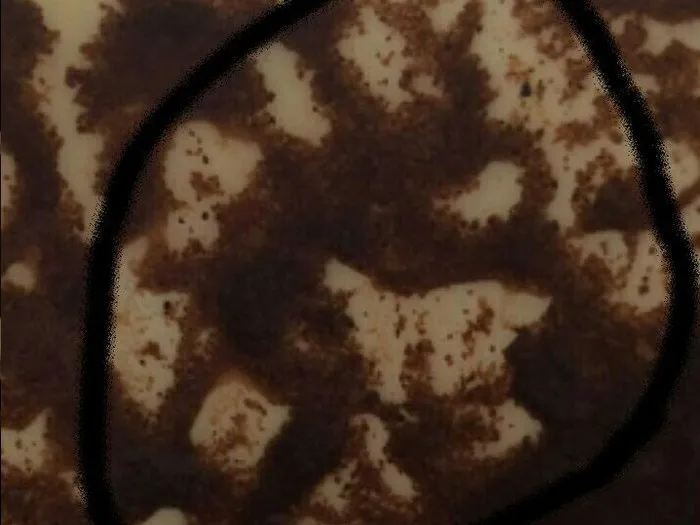 Запись на прием к гадалке в Волгодонске